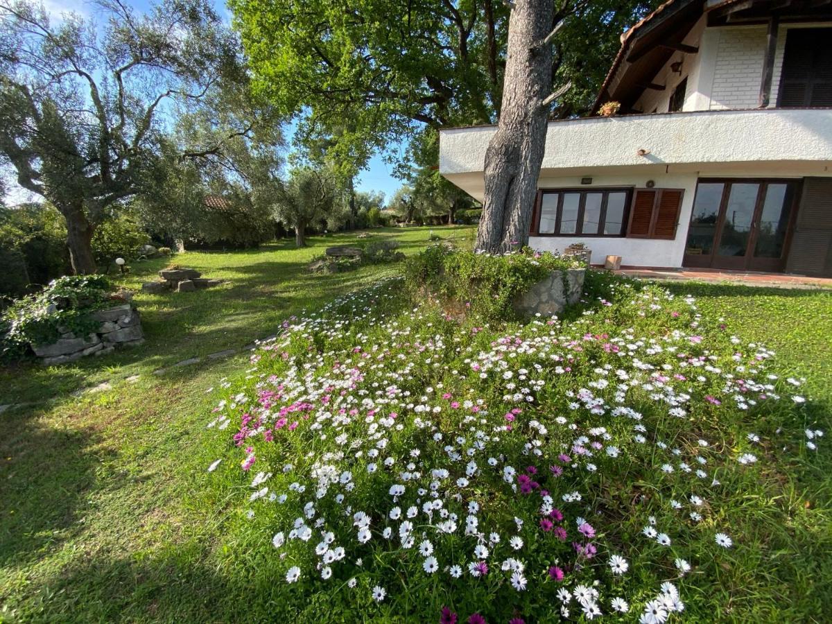 Wild Oaks Cottage Kriopijí Kültér fotó
