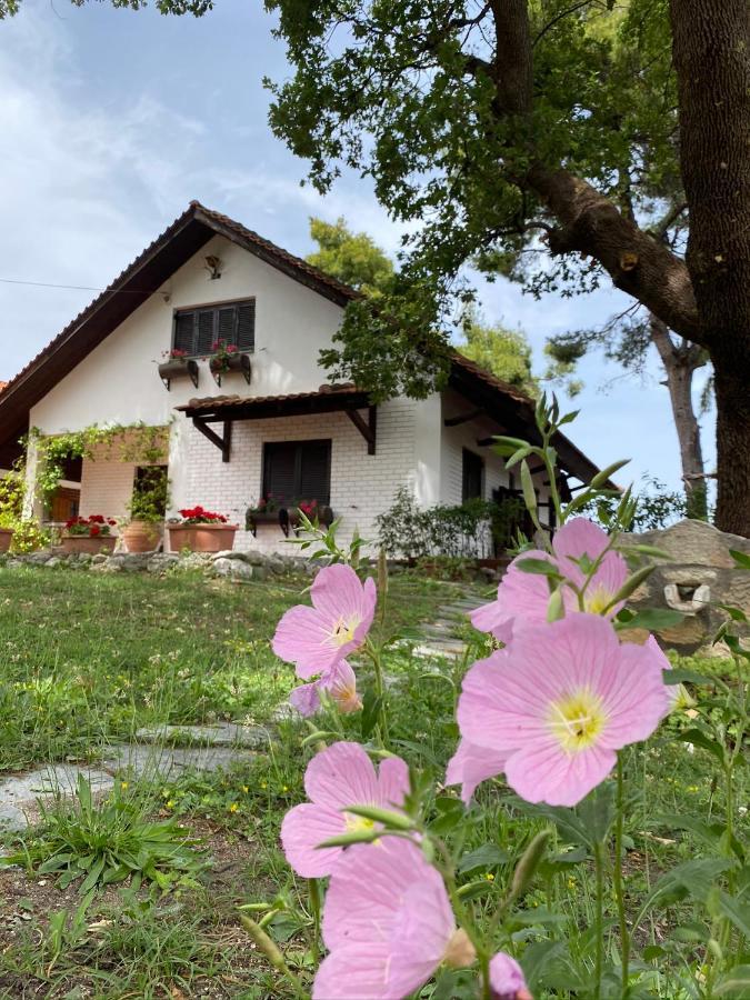 Wild Oaks Cottage Kriopijí Kültér fotó