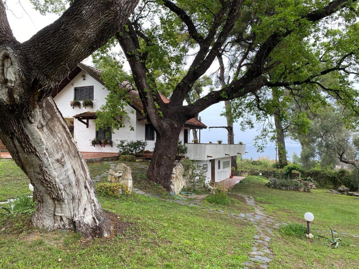 Wild Oaks Cottage Kriopijí Kültér fotó